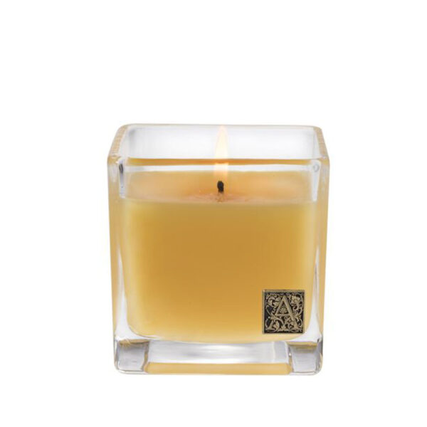 Clear Glass Cube Candle – Tropical Agave Pineapple